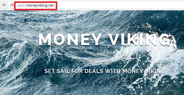 remove Money Viking
