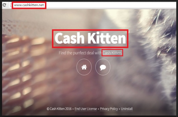 remove Cash Kitten