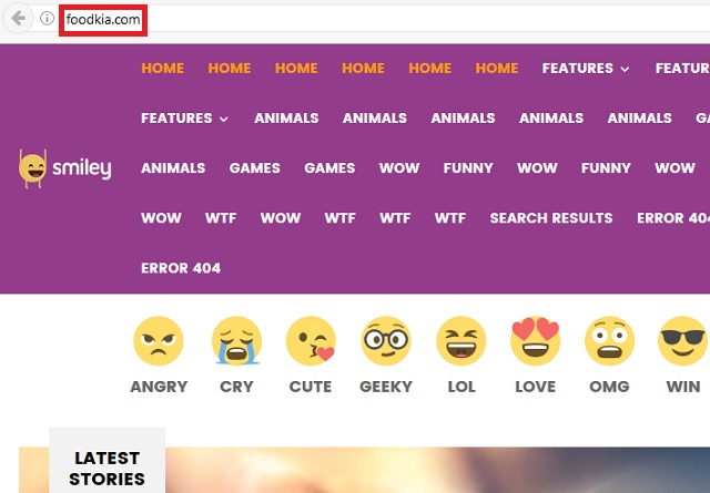 Foodkia.com Remove Foodkia.com