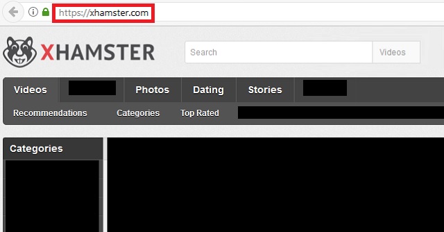 Remove Xhamster.com