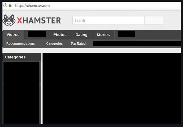 Xhamster: Dream Filth